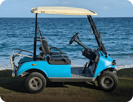 Voiturette 2 Places de aqua-blue