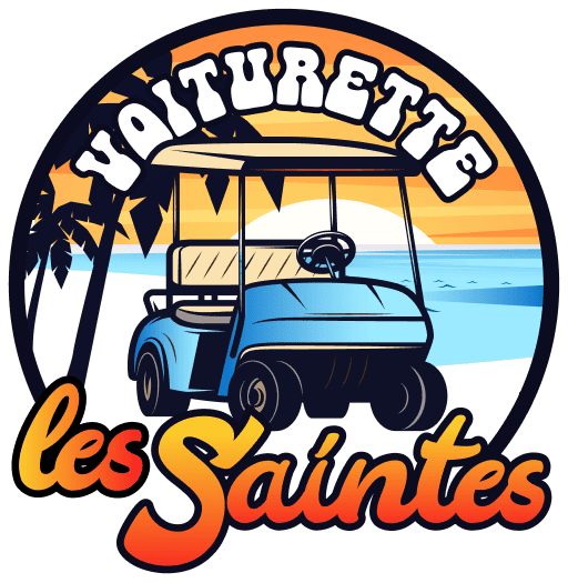 logo voiturettelessaintes.fr